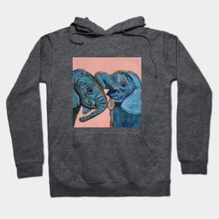 Two playful baby elephants Hoodie